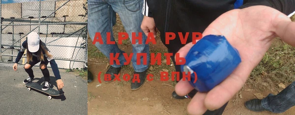 стаф Алзамай