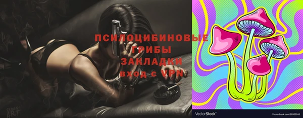 стафф Алексеевка